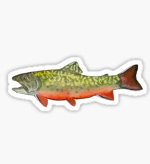 Brook Trout Sticker - Jhook Company